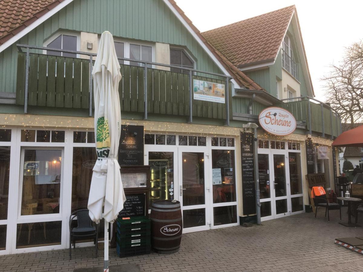 Doppelhaushaelfte Birkenstrasse 5E Villa Zingst Eksteriør bilde