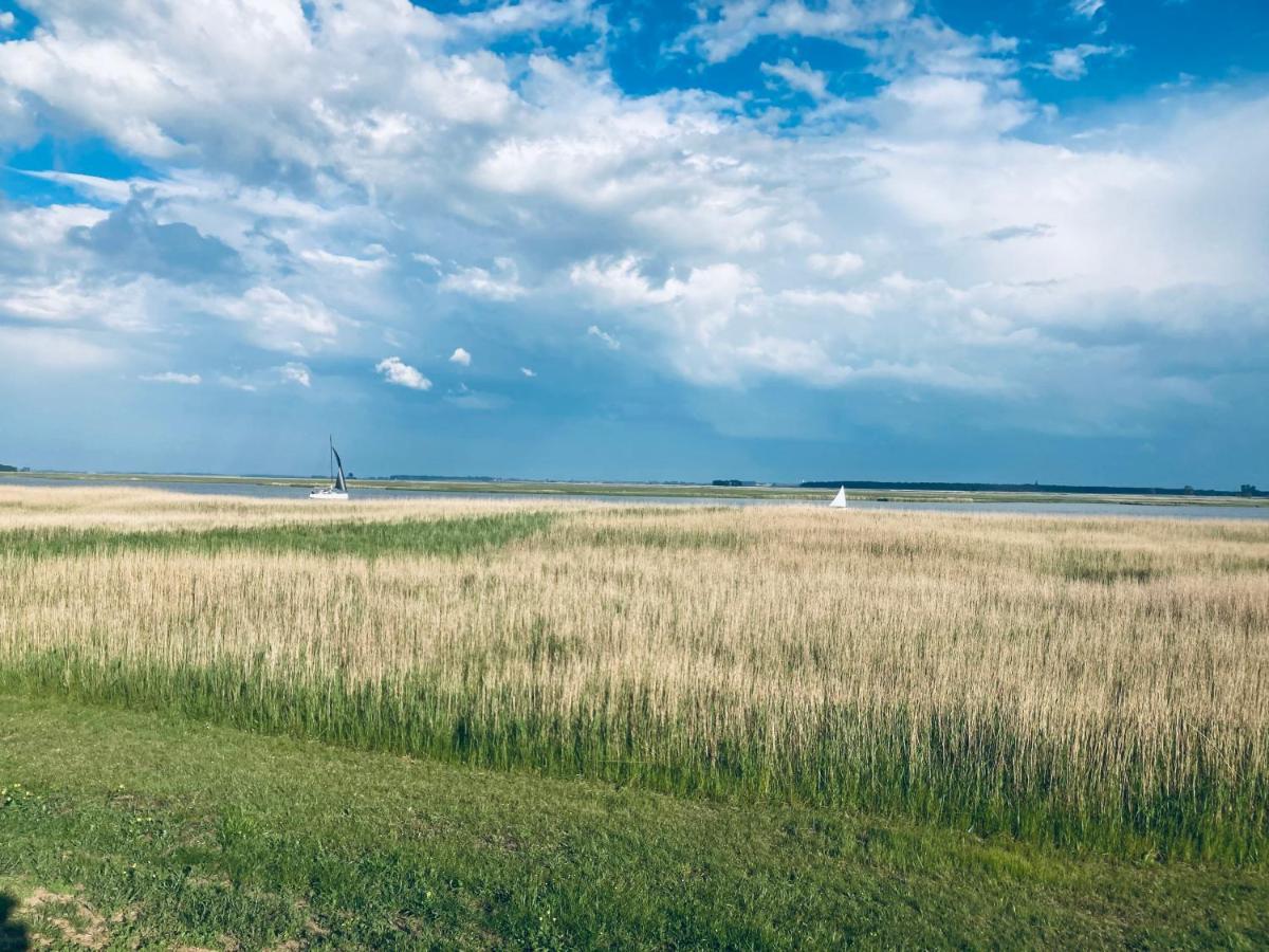 Doppelhaushaelfte Birkenstrasse 5E Villa Zingst Eksteriør bilde